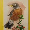 IMG20260518150618 Original American Robin Painting March 2026