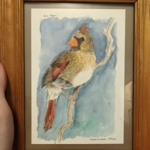 Female Cardinal Painting May 2026