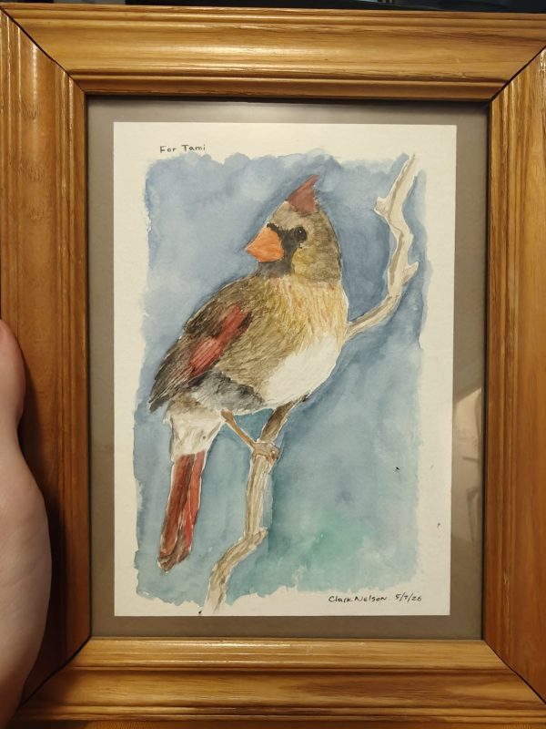 IMG20260507155418 Female Cardinal Painting May 2026