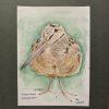 IMG20260617191551 Original American Woodcock Painting April 2026
