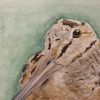 IMG20260617191555 Original American Woodcock Painting April 2026