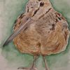 IMG20260617191614 Original American Woodcock Painting April 2026
