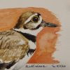IMG20260617210736 Original Killdeer Painting April 2026