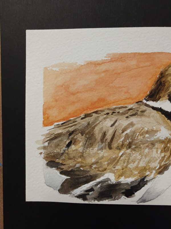 IMG20260617210741 Original Killdeer Painting April 2026