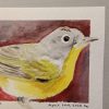 IMG20260618093531 Original Nashville Warbler Watercolor April 2026